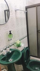 baño con lavabo verde y espejo en habitacion privada en Jardin cerca al parque, en Jardín