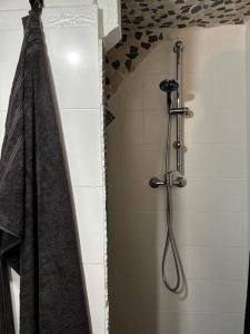 a shower in a bathroom with a shower curtain at Le Cosy'ppart - EasyLife in Bourgoin