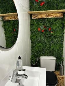 y baño con aseo, lavabo y espejo. en Le Cosy'ppart - EasyLife, en Bourgoin