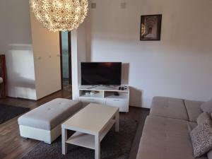 TV a/nebo společenská místnost v ubytování Apartman Love Divčibare