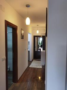 Foto de la galeria de Apartman Love Divčibare a Divčibare