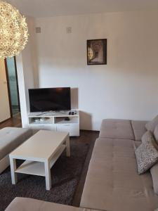 Televisor o centre d'entreteniment de Apartman Love Divčibare