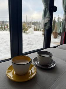 Apartman Love Divčibare a l'hivern