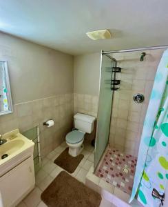 a bathroom with a toilet and a shower at South Finger Villa in Jolly Harbour