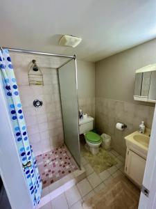 a bathroom with a shower and a toilet at South Finger Villa in Jolly Harbour