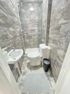a bathroom with a toilet and a sink at Retro 3 bed, 2 En-suite Haven in Birmingham