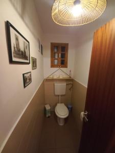 une petite salle de bains avec toilettes et lumière dans l'établissement Casa Edelweiss - Gyopár - Flore de colt, à Rimetea