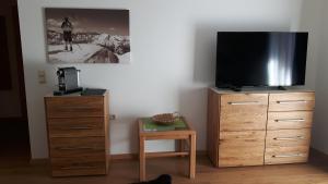 TV a/nebo společenská místnost v ubytování Alpen Apartments Zell am See
