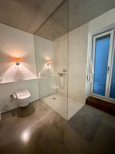 y baño con aseo y ducha acristalada. en Room in luxurious apartment, en Hamburgo