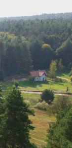 uma pequena casa branca num campo com árvores em Pod lasem u Surajów em Huta Lubycka