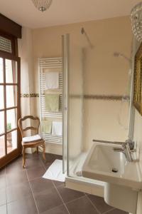 een badkamer met een douche en een wastafel bij La Roseraie in Wittlich