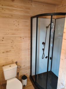 a bathroom with a toilet and a shower at Domki Dygudaj in Nowa Wieś