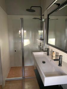 a bathroom with a shower and a white sink at Domaine la Boulinière - La Biche in Journet