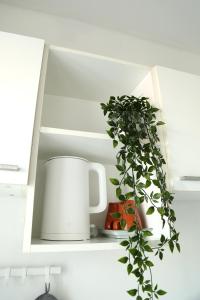 a potted plant sitting in a white kitchen cabinet at Cozy room in Khlongluang in Khlong Luang