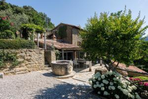 a stone house with a tree in front of it at Villa Alma in Cortona