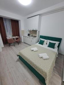 1 dormitorio con 1 cama grande y 2 almohadas en Anne Studio, en Onești