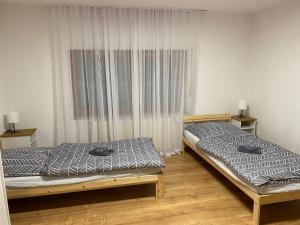 two twin beds in a room with a window at Ferienwohnung Schwabenheim an der Selz in Schwabenheim