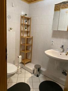 La salle de bains est pourvue d'un lavabo et de toilettes. dans l'établissement Ferienwohnung Schwabenheim an der Selz, à Schwabenheim