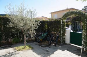 Billede fra billedgalleriet på Villa Tiziana i Pizzo + 20 billeder