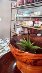 a wooden bowl with a plant in it on a table at Ribeirinhos Hostel in Maués