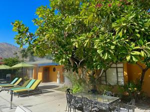 a patio with chairs and a table and a tree at Vista Grande Resort - A Gay Men's Resort in Palm Springs