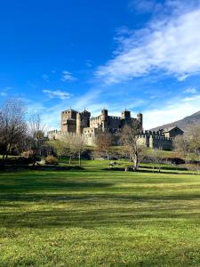 un castello in cima a un rigoglioso campo verde di À la Bouteucca a Fenis