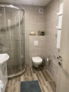 a bathroom with a shower and a toilet and a sink at Apartman Enigma in Ruma