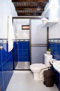 La salle de bains bleue et blanche est pourvue de toilettes et d'une douche. dans l'établissement Finca Villa Isanella, Santuario, Antioquia, à Santuario
