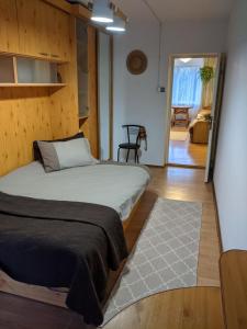 1 dormitorio con 1 cama y sala de estar en Квартира на Заньковецкой, en Uzhhorod