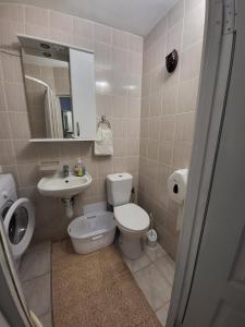 a bathroom with a toilet and a sink at Квартира на Заньковецкой in Uzhhorod