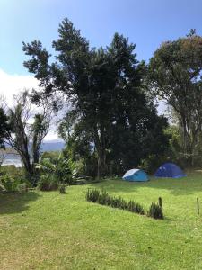 two tents in a field with trees in the background at Camping Flamboyant in Ilhabela