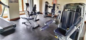 a gym with a bunch of exercise equipment in it at Lobo Wildlife Lodge in Serengeti