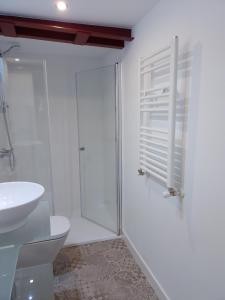 ein Bad mit einer Dusche, einem WC und einem Waschbecken in der Unterkunft Atalaya in Mundaka