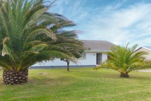 dos palmeras frente a una casa blanca en Protea 9 In Struisbaai, en Struisbaai