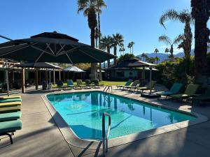 einen Pool mit Stühlen und Sonnenschirmen in der Unterkunft Vista Grande Resort - A Gay Men's Resort in Palm Springs