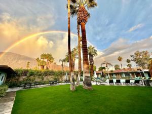 a rainbow over a lawn with palm trees and chairs at Vista Grande Resort - A Gay Men's Resort in Palm Springs