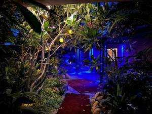 a garden at night with blue lights at Vista Grande Resort - A Gay Men's Resort in Palm Springs