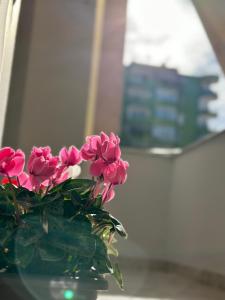 un vase rempli de fleurs roses assises sur une table dans l'établissement Cozy and spacios apartment in Ish Blloku, à Tirana