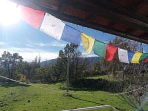 uma bandeira pendurada num poste num campo em Famiglia nel vento em Caramanico Terme