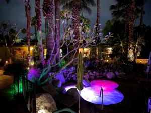 a garden at night with purple and green lights at Vista Grande Resort - A Gay Men's Resort in Palm Springs +37 photos