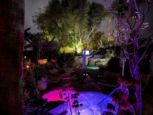 a garden lit up at night with purple lights at Vista Grande Resort - A Gay Men's Resort in Palm Springs