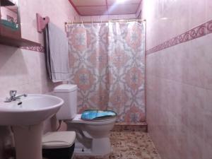 ein Bad mit einem WC, einem Waschbecken und einer Dusche in der Unterkunft Beautiful villa for singles, couples, families and groups cozy stay in La Chorrera