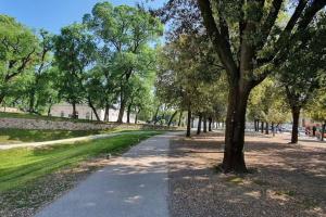 un camino en un parque con árboles y césped en La Colonna - La Colonna, en Lucca