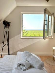a room with a window and a towel on a bed at Cozy Rooms at Organic Vinery, Vesterhave Vingaard - see more at BY-BJERG COM in Karrebæksminde