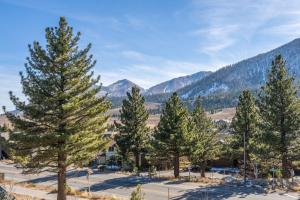 a group of pine trees with mountains in the background at Creekhouse 1380 in Mammoth Lakes
