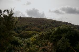 wzgórze pokryte drzewami i chmurami na niebie w obiekcie The Deerstone Luxury Eco Hideaway w mieście Laragh