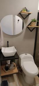 a bathroom with a white toilet and a mirror at MINI LOFT MODERNO Y ACOGEDOR in Salento