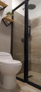 uma casa de banho com um WC e um chuveiro em MINI LOFT MODERNO Y ACOGEDOR em Salento