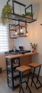 a kitchen with a sink and a desk with plants at MINI LOFT MODERNO Y ACOGEDOR in Salento