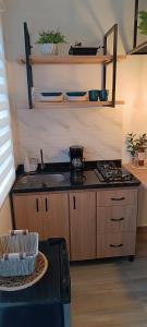 a kitchen with a stove and a counter top at MINI LOFT MODERNO Y ACOGEDOR in Salento